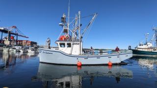 Fiberglass-Crabber-1